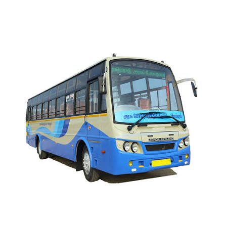 bus